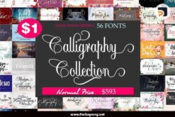 Calligraphy Collection