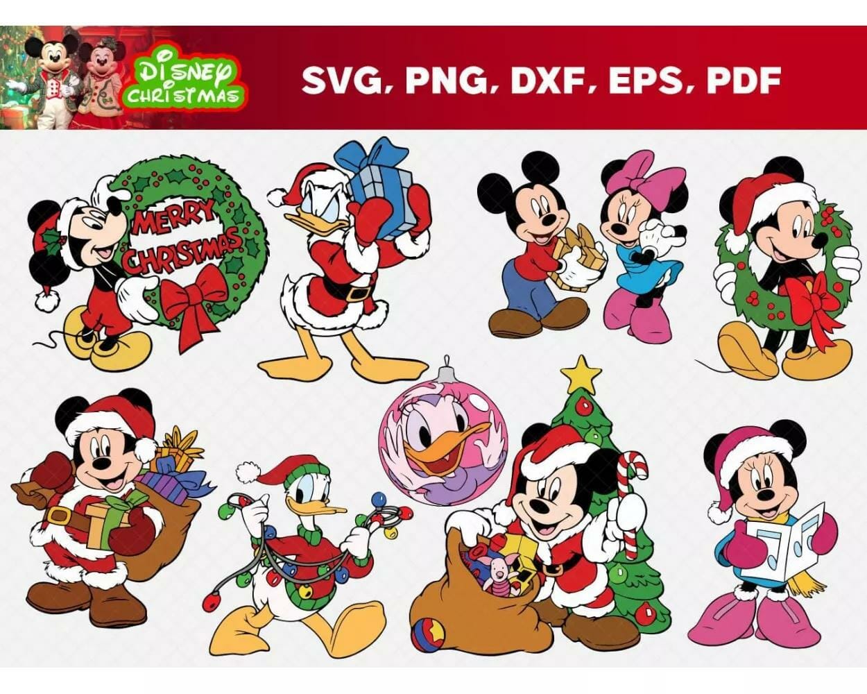 58 Designs SVG PNG EPS DXF PDF Digital Download||||||||