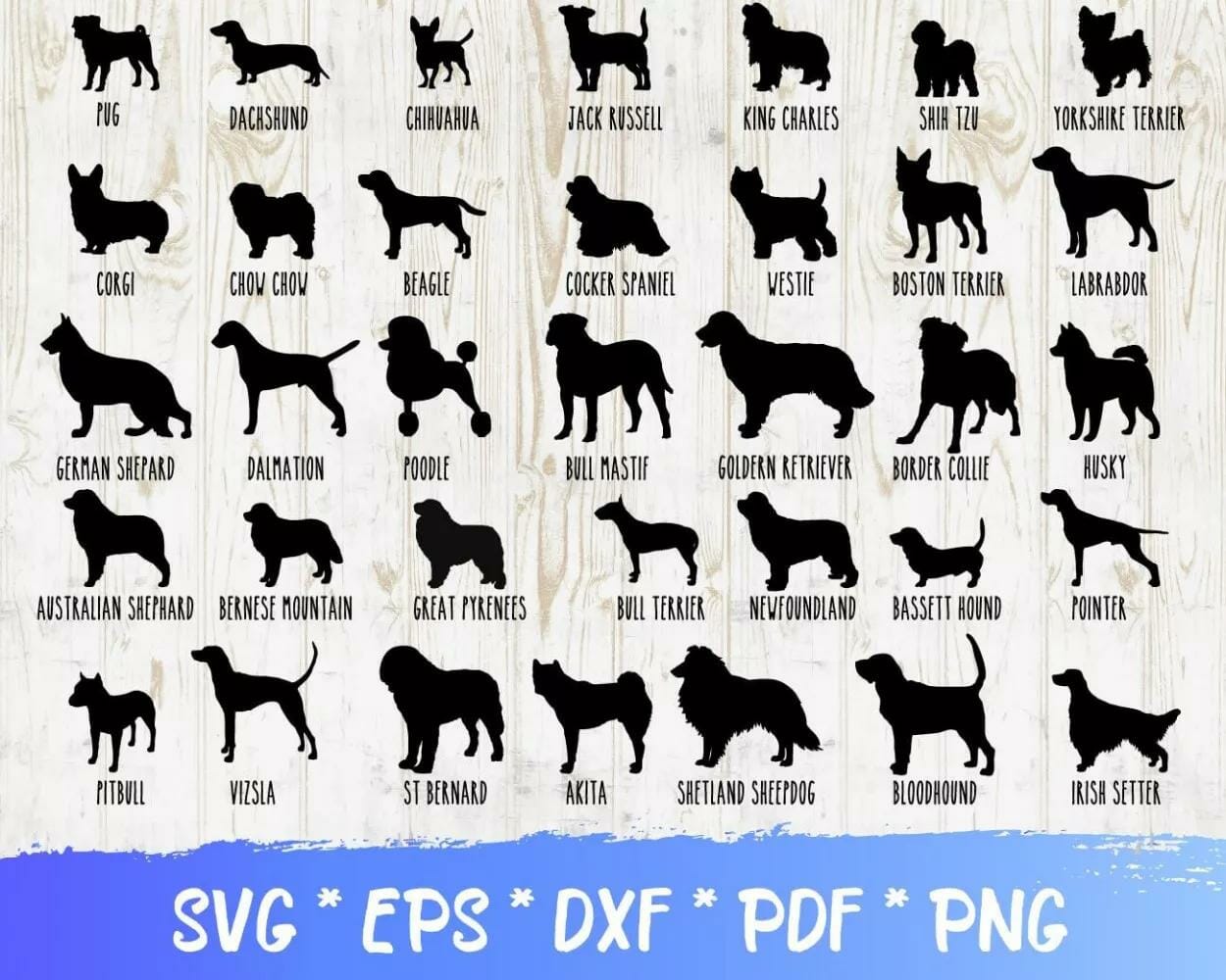 200+ Designs SVG PNG EPS DXF PDF Digital Download|||||||