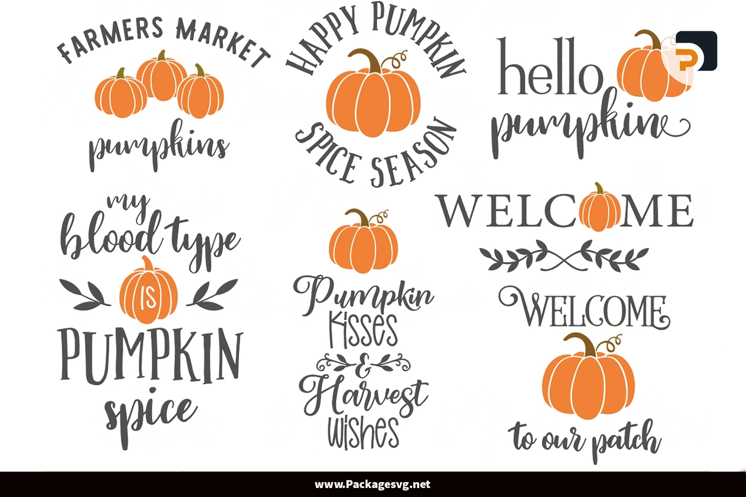 Fall Pumpkin SVG