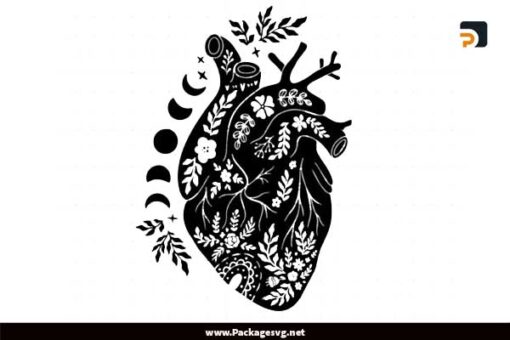 Mandala Anatomical Heart SVG