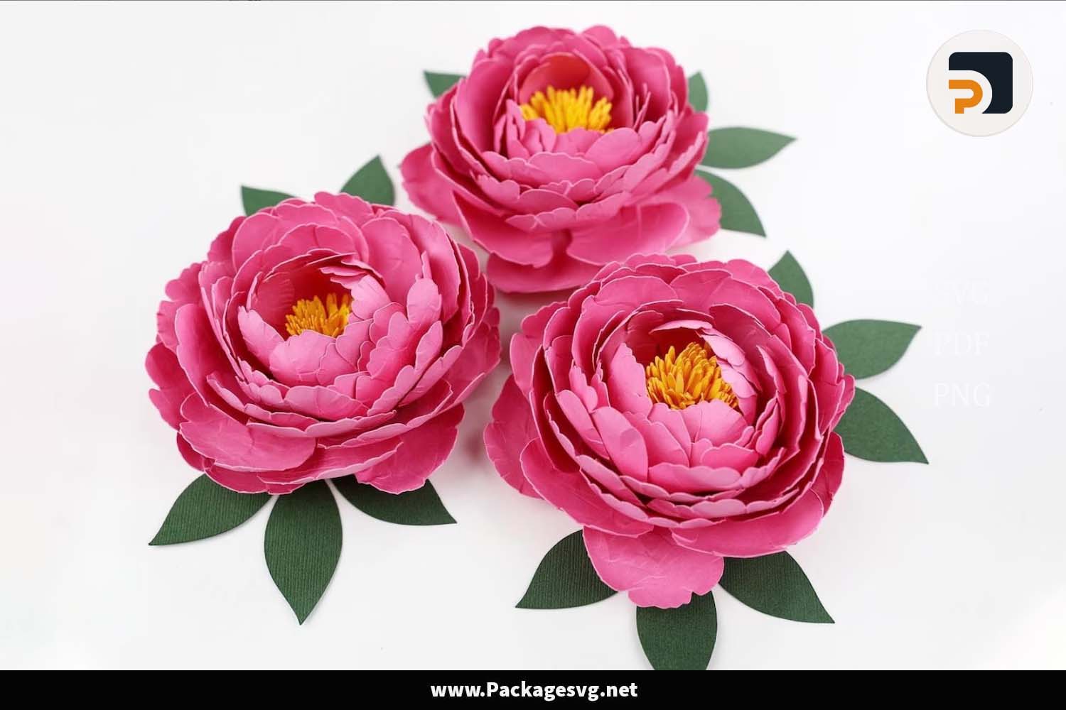 Peony Flowers Paper Template