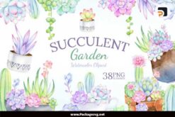 Succulent Garden Watercolor Clipart
