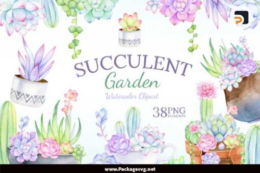 Succulent Garden Watercolor Clipart