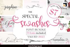 The Special Swashes Font Bundle