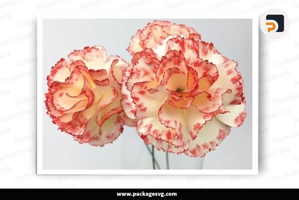 Carnation Flower Paper, SVG Template For Cricut LHH4FHBV