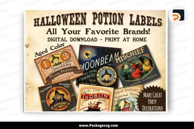 Witch Halloween Potion Bottle Labels Clipart, Vintage Style Party Decorations LN42NJVW