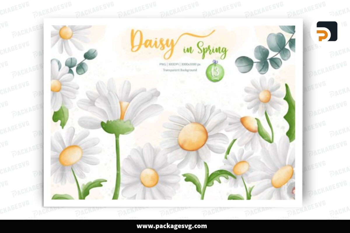 Watercolor Daisy Flower Clipart Bundle, 13 PNG Sublimation Design Free Download