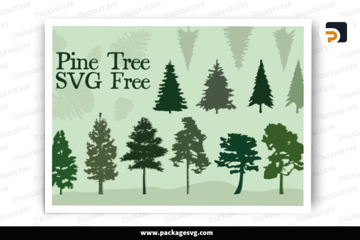 Pine Tree SVG Bundle, 10 Designs Free Download