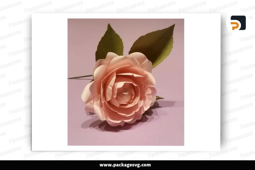 Queen of Sweden Rose Flower Templates, SVG Paper Cut File LRBIO4RH (1)